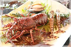 お料理のご案内