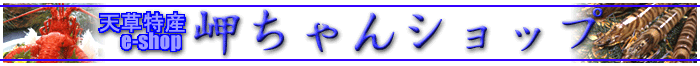 �V�����Y�E�������SHOP