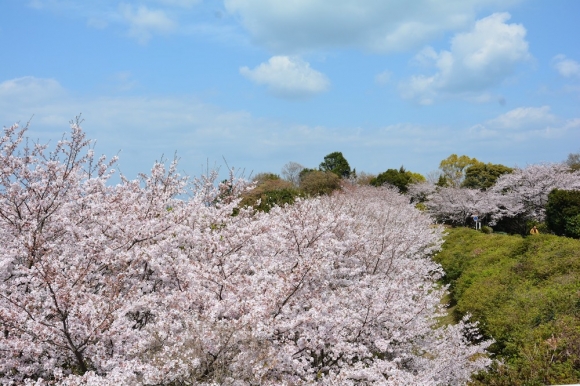 ファイル名: senganzan-2.jpg
ファイルサイズ: 257.1KB
→クリックで元のサイズを表示 senganzan-2